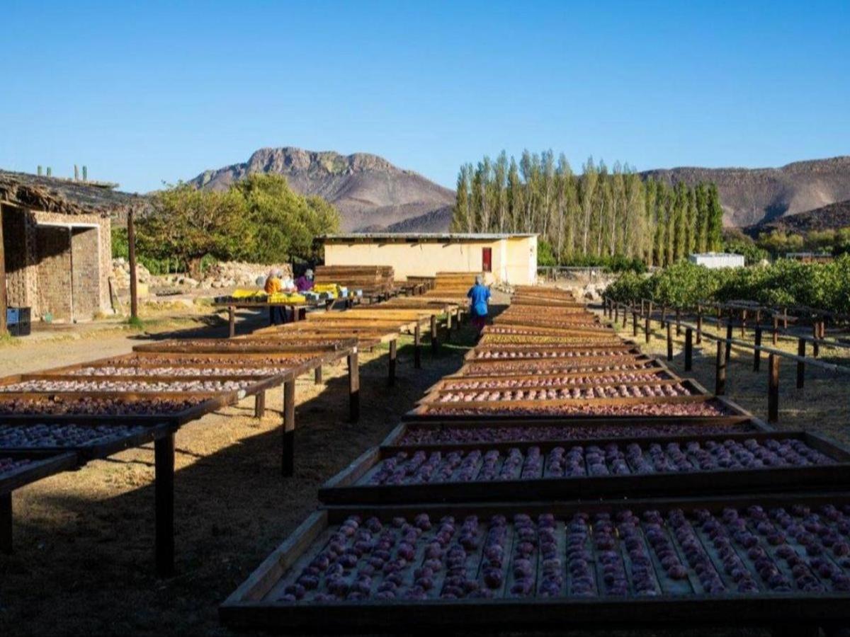艾伯特王子镇Weltevrede Fig Farm公寓 外观 照片