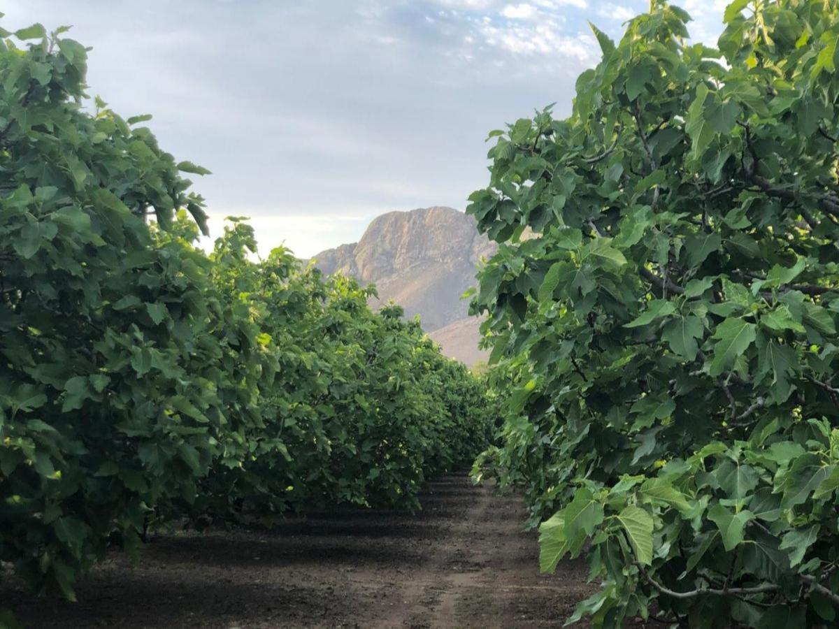 艾伯特王子镇Weltevrede Fig Farm公寓 外观 照片